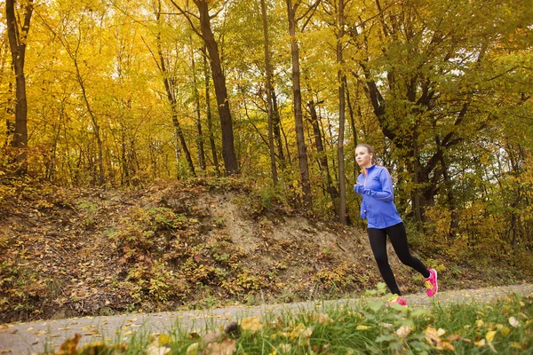 Kobieta aktywna i sportowy runner w jesień natura — Zdjęcie stockowe