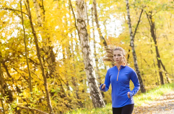 Kobieta aktywna i sportowy runner w jesień natura — Zdjęcie stockowe