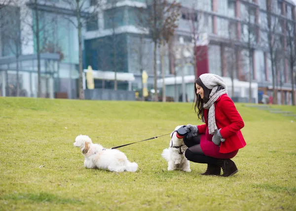 Portrait d'hiver de femmes enceintes promenant des chiens — Photo