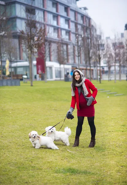 Retrato de invierno de una mujer embarazada paseando perros —  Fotos de Stock