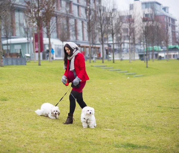 Zima portret kobiety w ciąży chodzić psy — Zdjęcie stockowe
