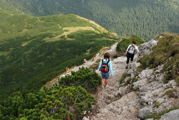 Paesaggio montano in Slovacchia — Foto Stock