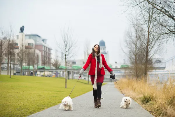 Retrato de invierno de una mujer embarazada paseando perros —  Fotos de Stock