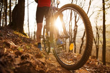 Mountain biker