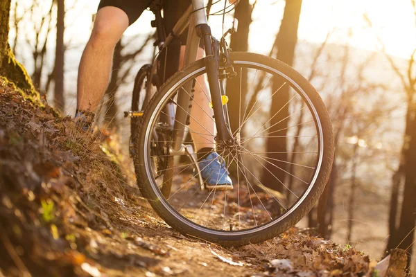 Ciclista de montaña — Foto de Stock