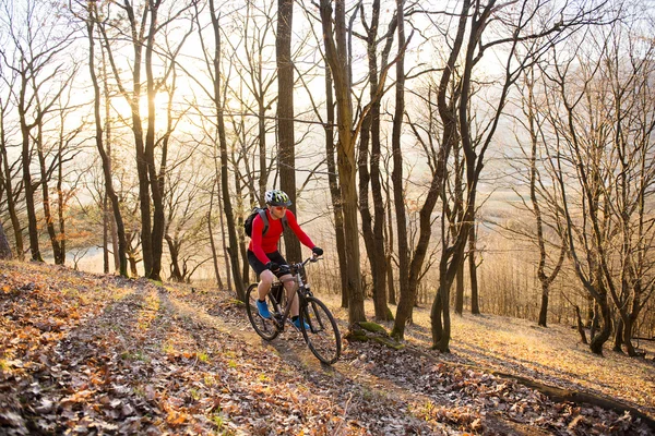 Mountain biker — Stockfoto