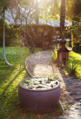 Yeşil tropikal Bahçe