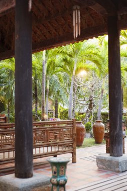 Yeşil tropikal Bahçe