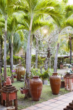 Yeşil tropikal Bahçe