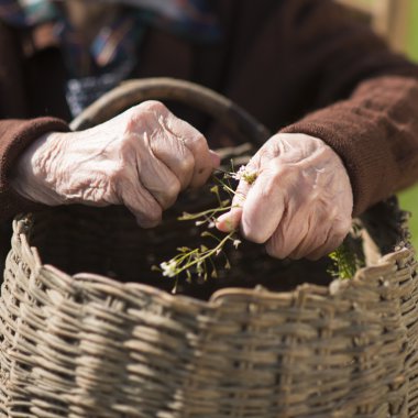 Yaşlı kadının elleri