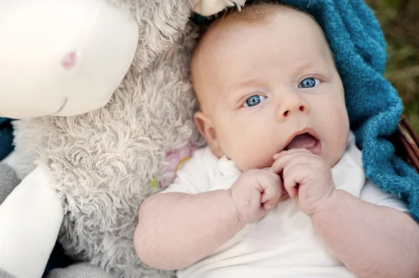 Baby boy — Stock Photo, Image