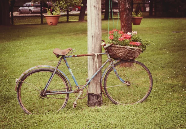 Bicicleta velha — Fotografia de Stock