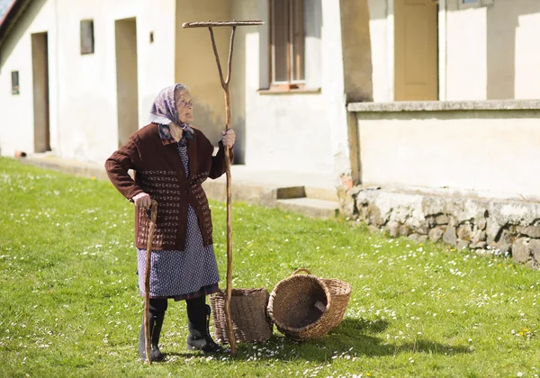 Mulher com ancinho e cestas — Fotografia de Stock