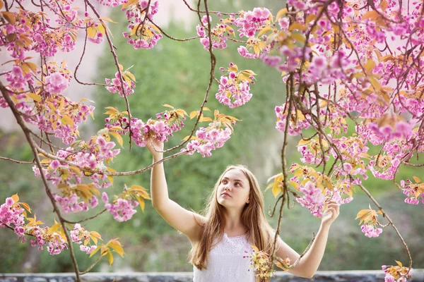 Fille parmi les arbres en fleurs — Photo