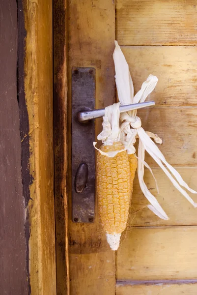 Кукуруза висит на дверной ручке — стоковое фото