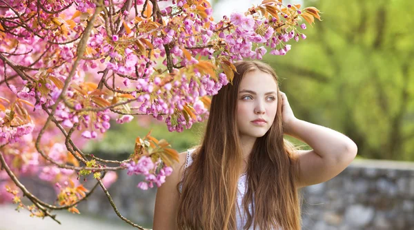 Chica en el jardín de primavera —  Fotos de Stock