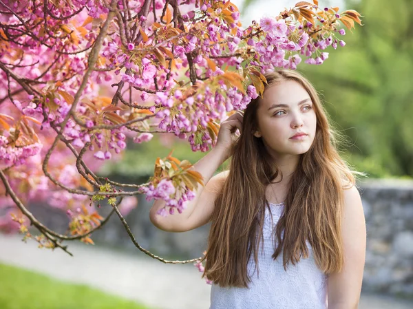 Dívka mezi kvetoucí stromy — Stock fotografie