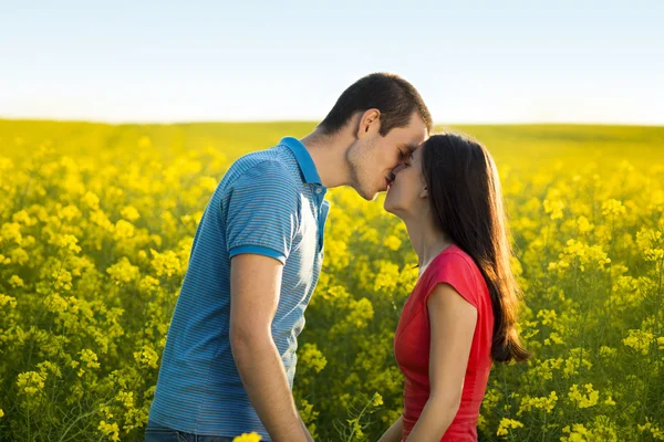 Casal beijando no campo — Fotografia de Stock