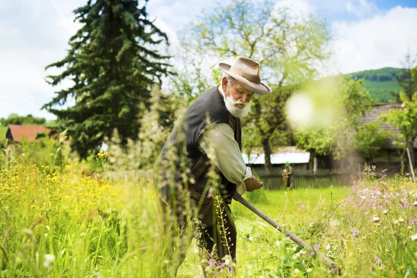 Agricultor usando guadaña para cortar hierba — Foto de Stock