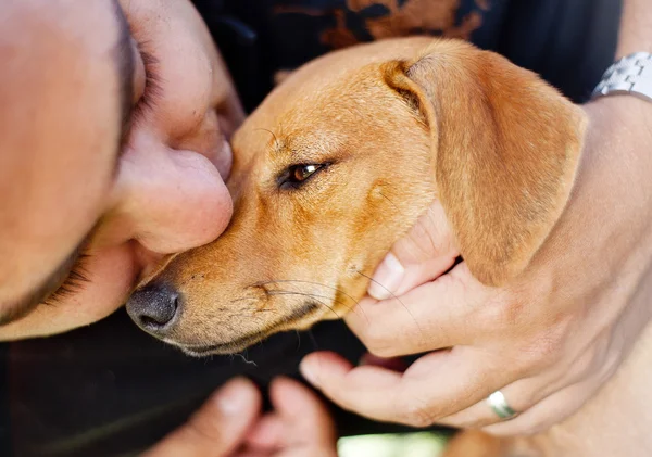 Homem abraçando seu cão — Fotografia de Stock