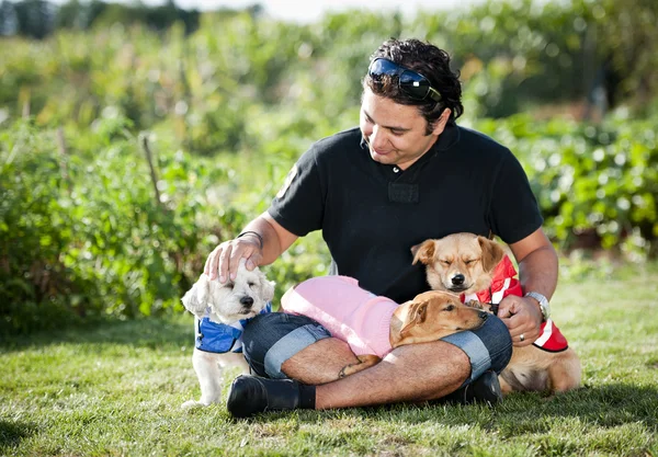 Man zit met honden — Stockfoto