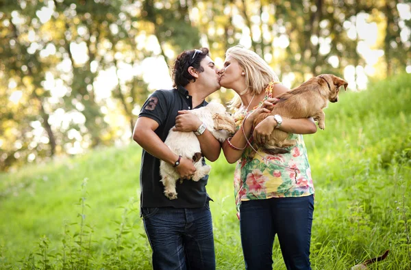 Paar geht mit Hunden spazieren — Stockfoto