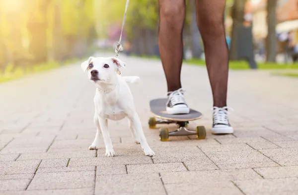 Flicka med sin hund — Stockfoto