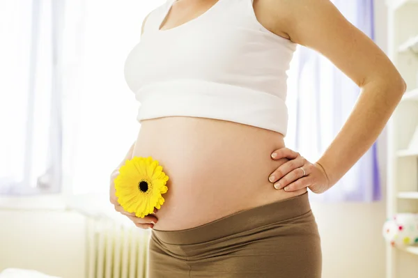 गर्भवती महिला फूल पकड़े हुए — स्टॉक फ़ोटो, इमेज