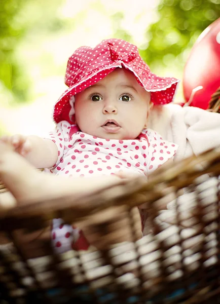 Bebé niña en cesta —  Fotos de Stock