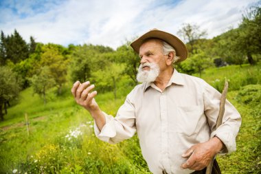 Old farmer with beard clipart