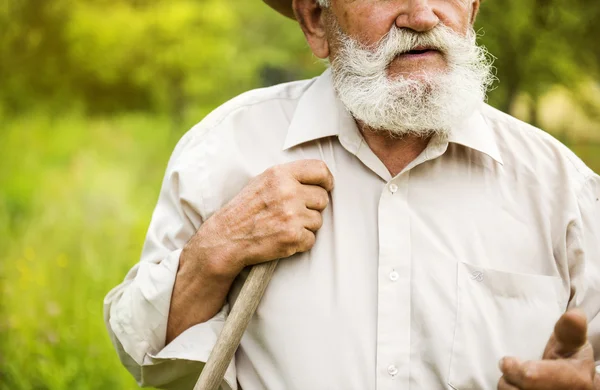 Agricultor trabalhando com ancinho — Fotografia de Stock