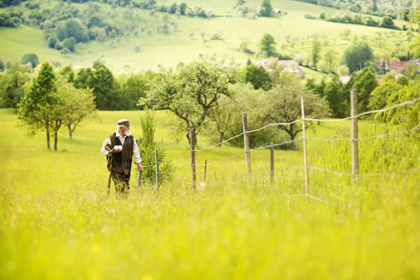 Fermier marchant dans la prairie — Photo