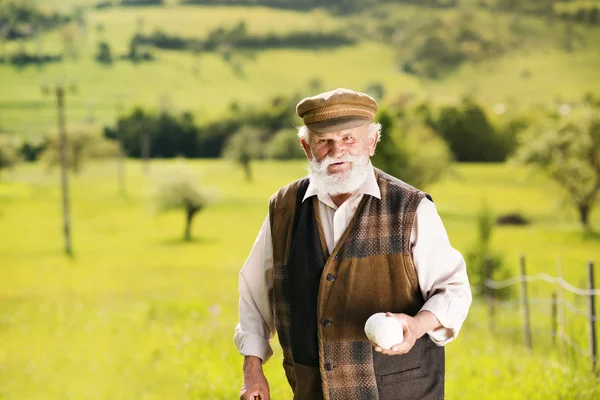 Fermier marchant dans la prairie — Photo