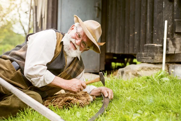 Boer zijn zeis herstellen — Stockfoto