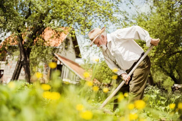 Agricultor con deshierbe de azada — Foto de Stock