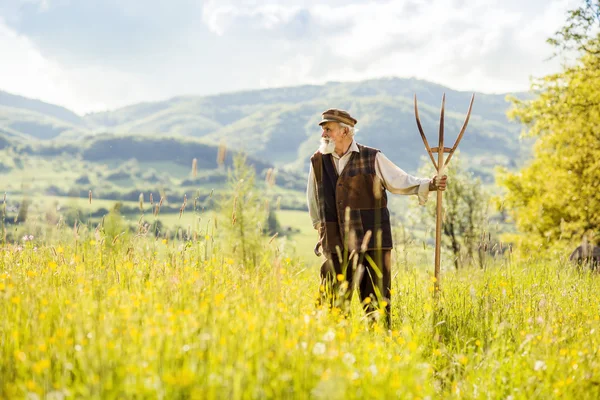 Alter Bauer mit Heugabel — Stockfoto