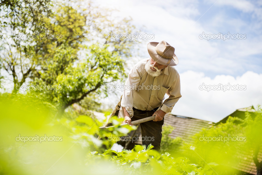 Farmer with a hoe weeding