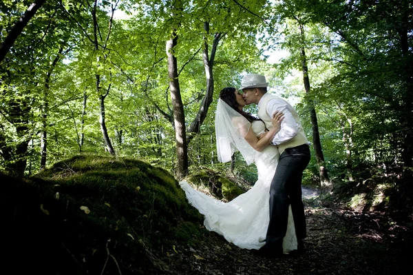 Bride and groom in forest — Stock Photo, Image