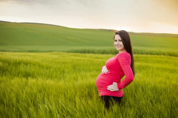 Donna incinta in campo — Foto Stock