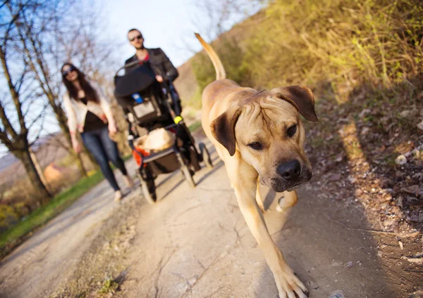 Rodziny z wózka i pies — Zdjęcie stockowe