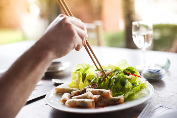 Spring rolls with salad — Stock Photo, Image