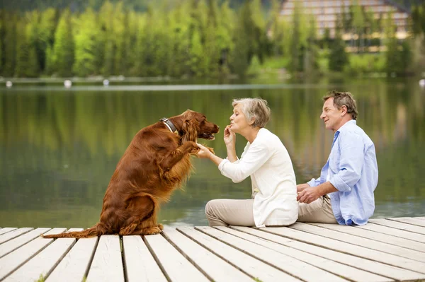 Casal com cão sentado no cais — Fotografia de Stock