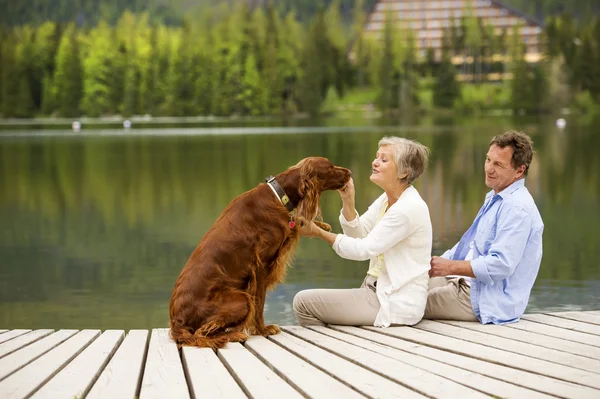 Pár s pes sedí na molu — Stock fotografie