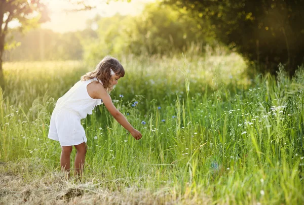 Liten flicka med blommor — Stockfoto