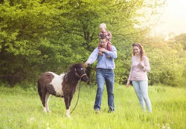 Familie mit Pony — Stockfoto