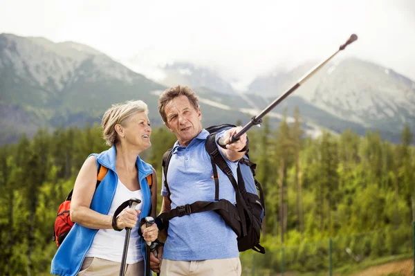 Senior turist par — Stockfoto