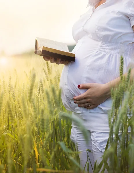 Kobieta w ciąży modląc się w polu — Zdjęcie stockowe