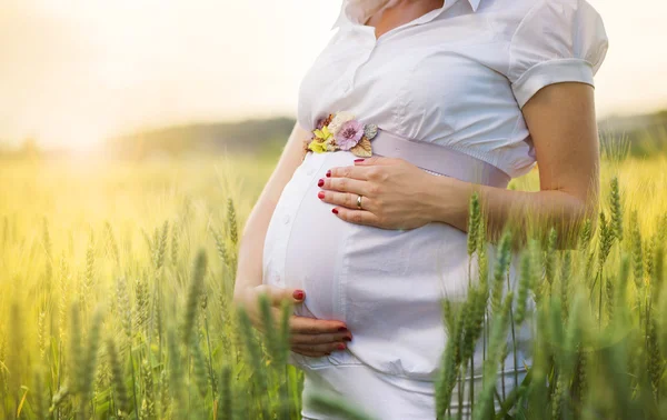 Pregnant woman in the field — Stock Photo, Image