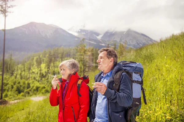 Pareja de turistas senderismo en las montañas — Foto de Stock