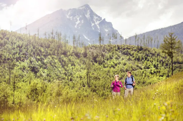 Couple hiking at mountains — Stock Photo, Image